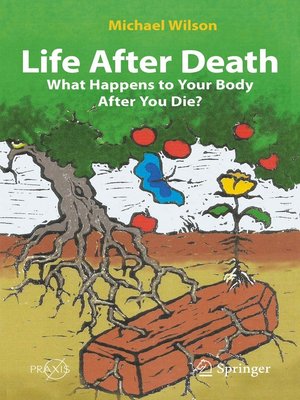 cover image of Life After Death